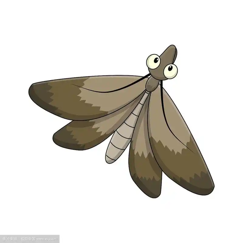 卡通蛾虫孤立在白色背景
