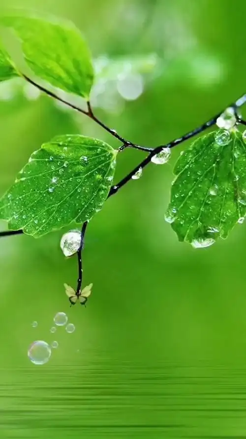 欣赏风景治愈清心舒畅好运自来