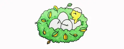 鸟窝怎么画