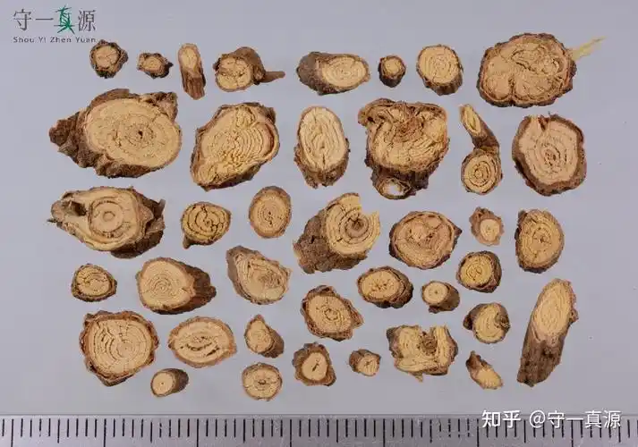 北柴胡和南柴胡