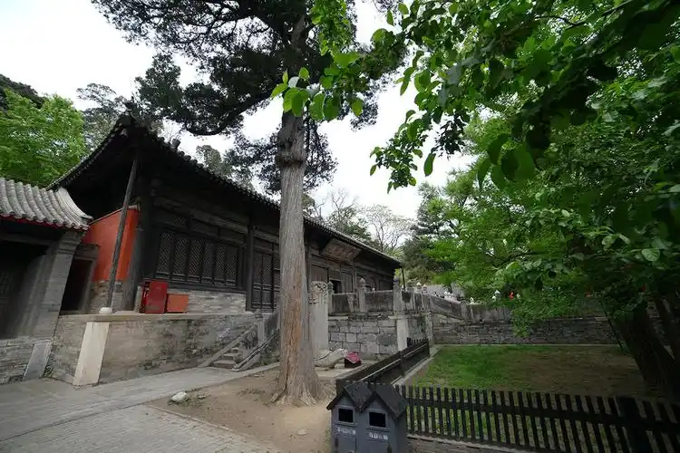 北京西山大觉寺(三阳14/2.8)