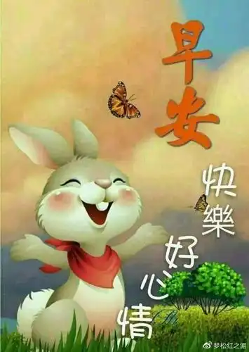 最新漂亮的早上好问候动态表情图片早晨祝福暧心问候语大全