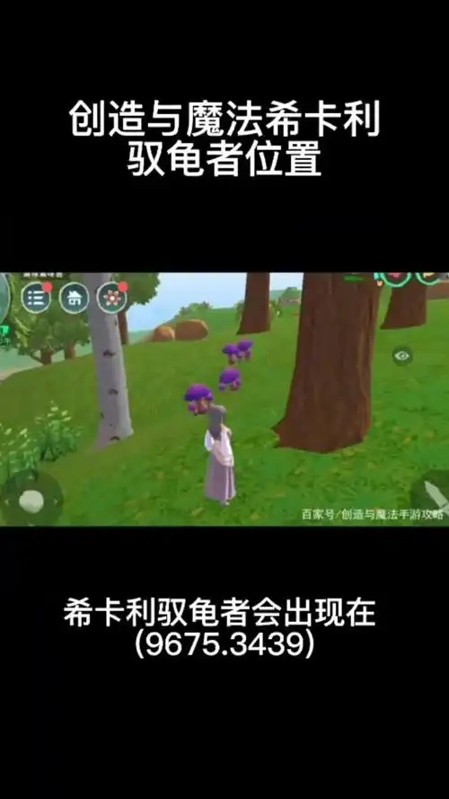 创造与魔法希卡利驭龟者位置