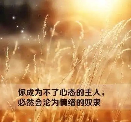 负性情绪的能量是"打不死的小强",不处理,就会累积,转化,并在意想不到