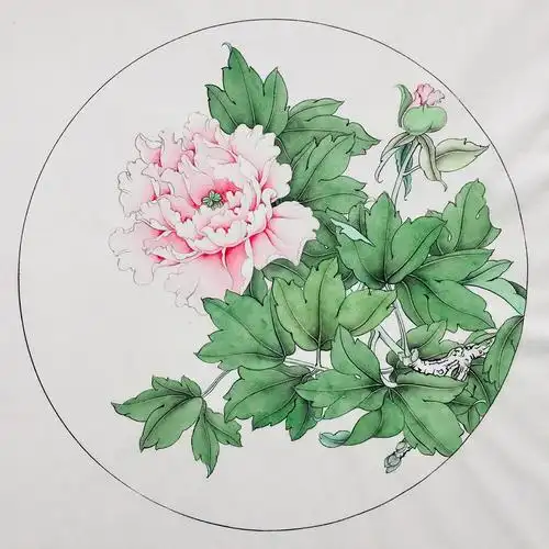 工笔花鸟画零基础入门