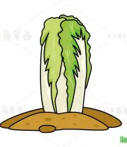 白菜儿童简笔画大全