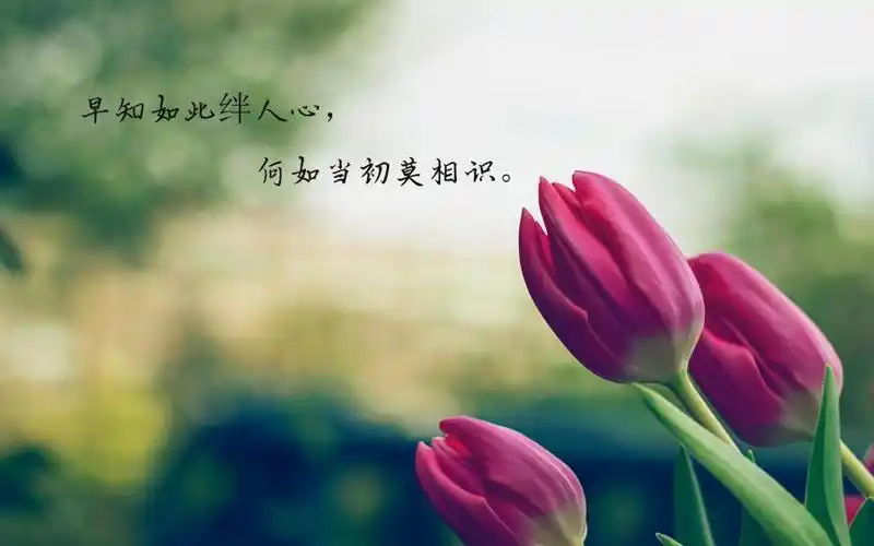 下一组 相关专题 文字图片伤感图片 相关标签 心凉文字简单悲伤伤感