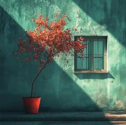 20张唯美的极简主义摄影作品极简之美