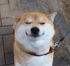 240_227gif 动态图 动图