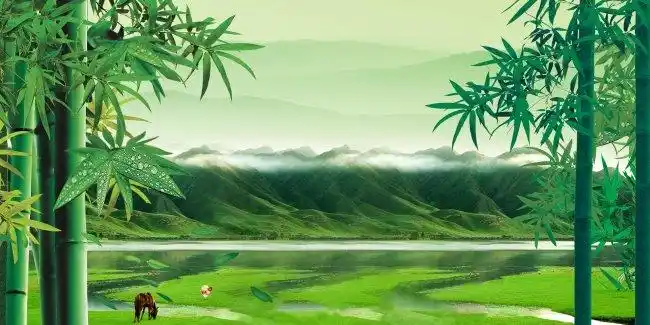 psd山水竹子风景