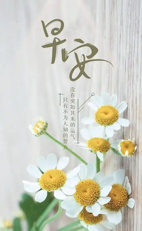 早安心语正能量奋斗语录句子 早上好正能量问候语图片