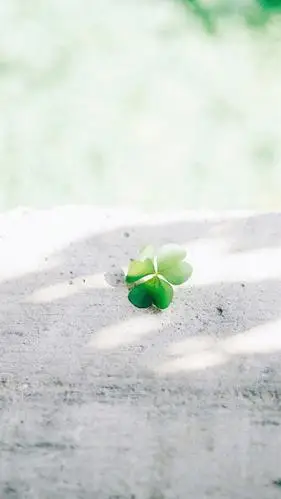 简约森系小清新手机壁纸图片_唯美图片_kanqq个性网手机版