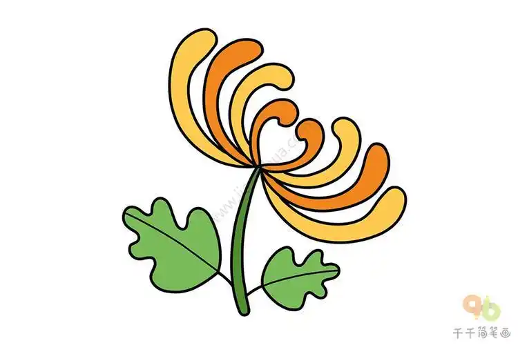 万寿菊花朵简笔画