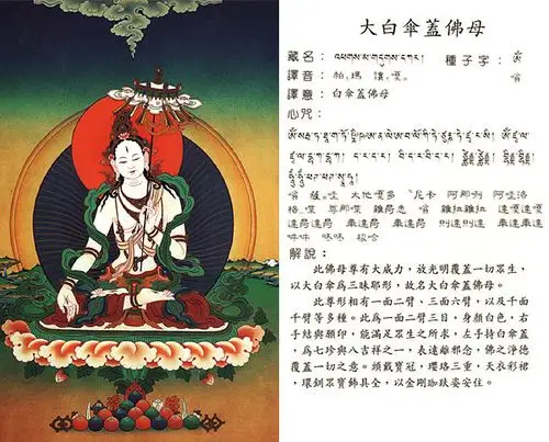 大白伞盖佛母——唐卡