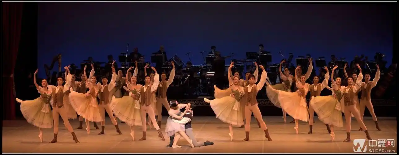 中央芭蕾舞团《圆舞曲之夜——2015新年芭蕾音乐会》【高清剧照】