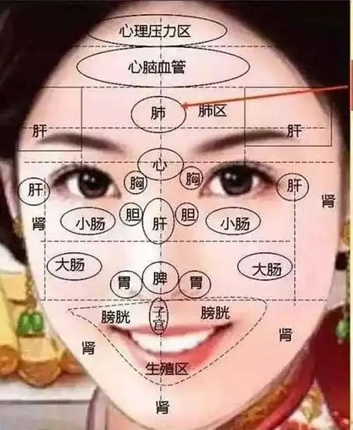 身体相貌神识中医五行风水,人生教育与疫情根源,终归身心本源 1