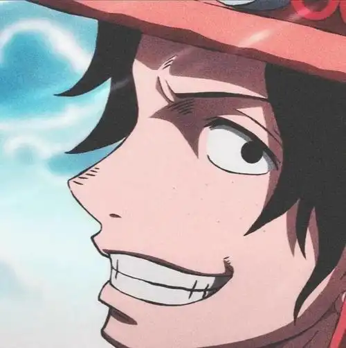 海贼王 动漫头像 图源vb. 侵删致歉