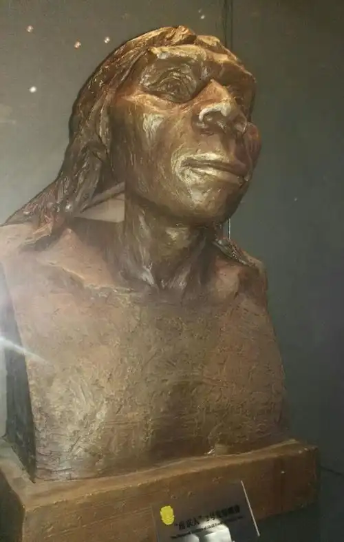 "南京人"2号复原雕像