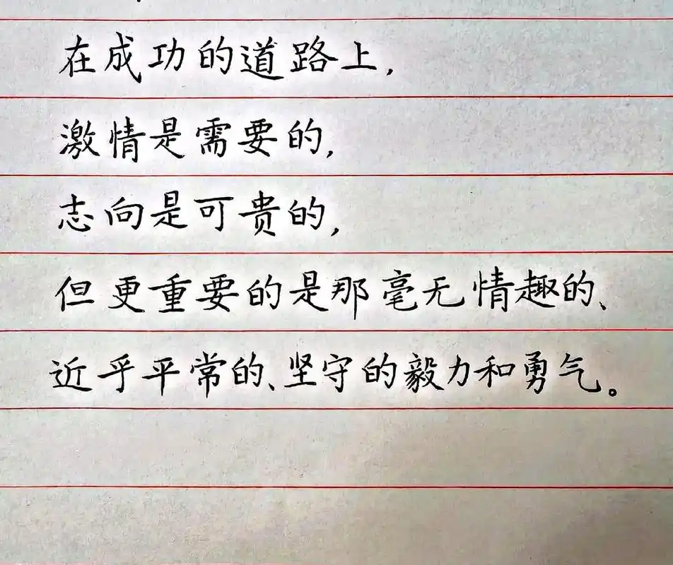 励志美句硬笔抄写.在成功的道路上, 激情是需要的, 志向是可 - 抖音
