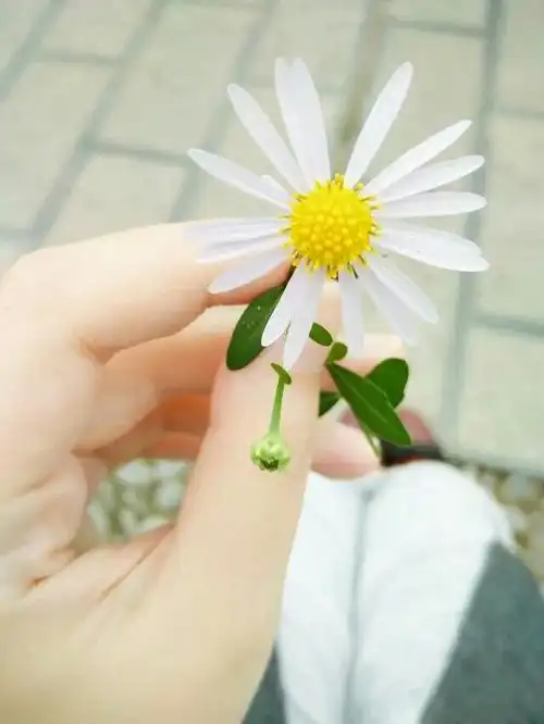 不知道从什么时候起 只要能牵手一些美好的心情文字 就会无比的幸福与