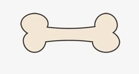 手绘骨头