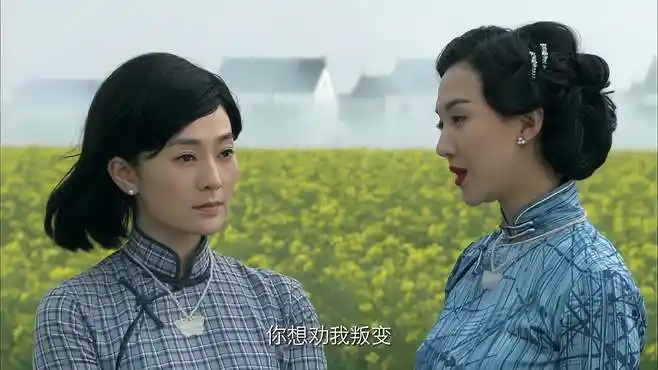 决战江南:关竹青和关竹梅见面,两人各为其主,最后不欢而散-影视综视频