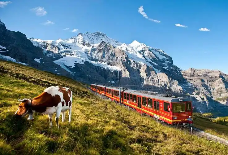 独家体验 :瑞士著名的全景观光列车-金色山口列车