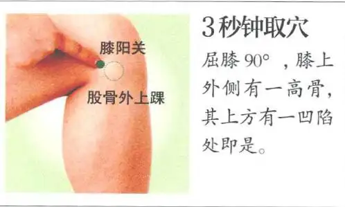 之二:八会穴配穴法 清除体内的风,寒,湿,远离关节肿大和肌肉酸痛 血痣