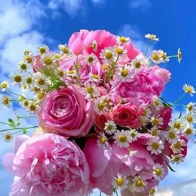 超漂亮的花头像