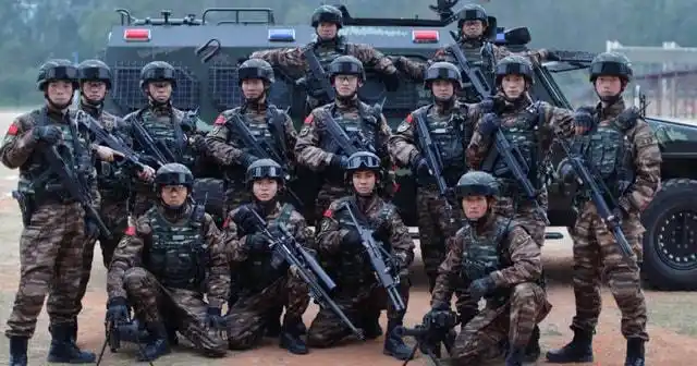 中国十大特种部队排名,全部用动物命名,中国三大王牌特种部队-第4张