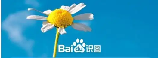 百度识图如何查找来源具体操作步骤