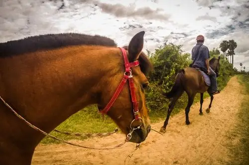 beautiful people: horseback riding with chey in cambodia