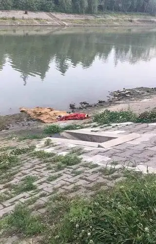 又一朵"花"陨落,17岁初三女生跳河自杀,家长这几件事最好不要做!