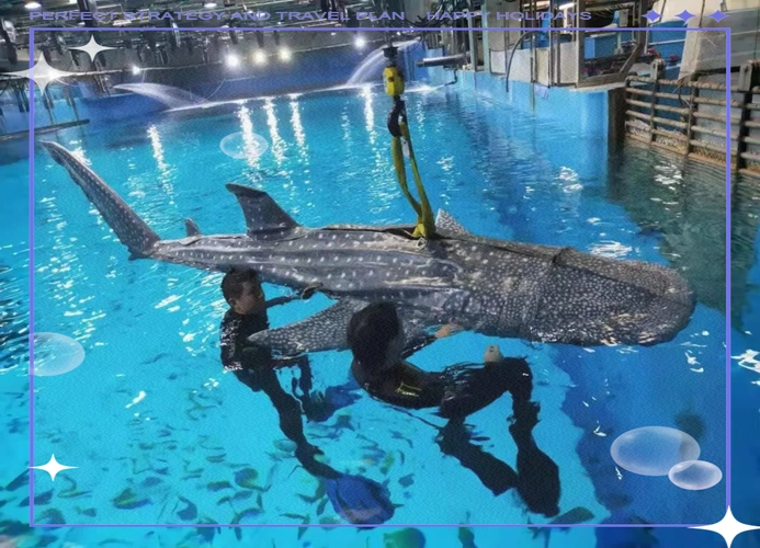 上海海昌海洋公园:全球首条仿生鲸鲨震撼亮相,引领环保新潮流