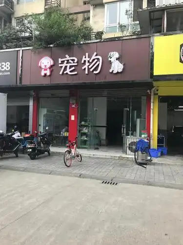 网友爆料:妹子在成都九里堤地铁口旁边宠物店买到病狗,前天买的|病狗|