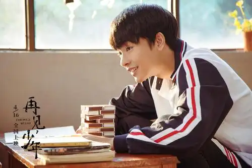 再见,少年_电影介绍_评价_剧照_演员表_影评