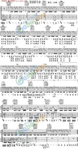 《怒放的生命》吉他谱