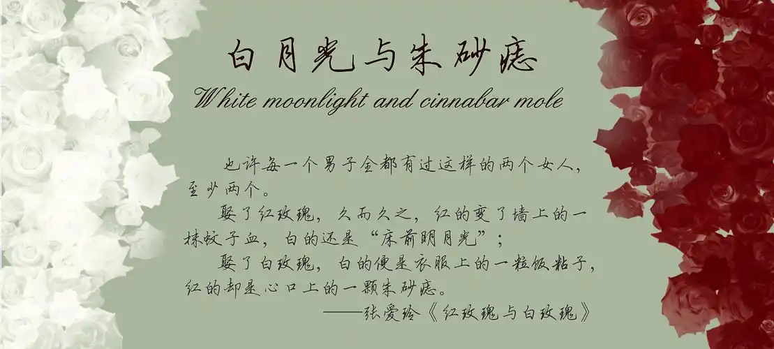 白月光与朱砂痣民国风情系列插画