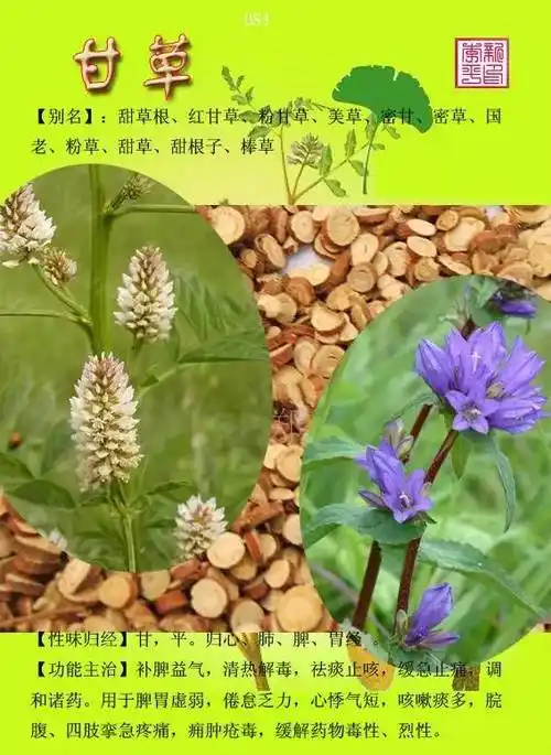 我们数据库里收录了常见的5000多种中草药,也欢迎大家多