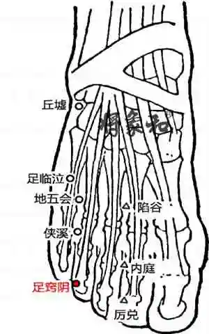 耳鸣,咽喉肿痛找:足窍阴穴