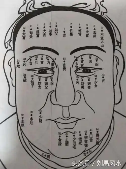 面部痣图(男性)亚麻痣(男女面部痣详解)