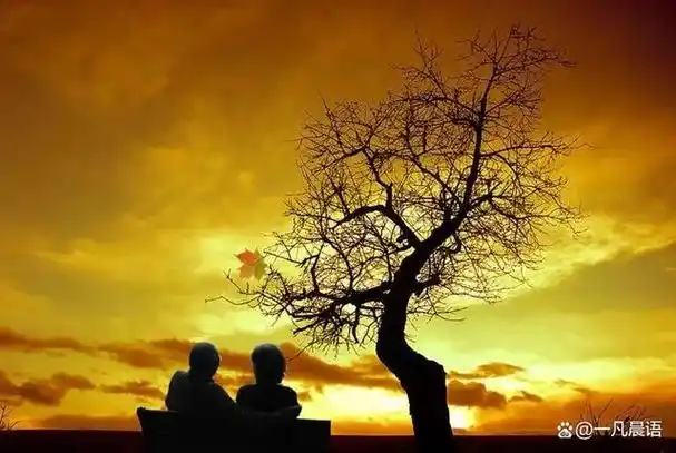 曾经的青春不再,岁月的痕迹在我们脸上留下了深深的印记.