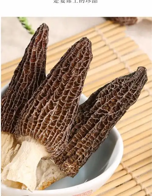 新鲜羊肚菌特级云南特产野生菌羊肚菇蘑菇新鲜食用菌国内顺丰冷链包邮