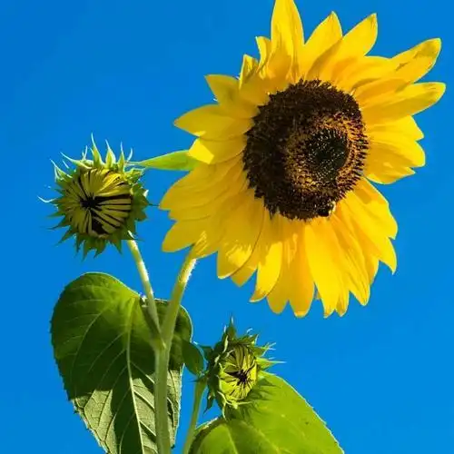 励志头像图片大全186张 高清好看的正能量励志头像拼搏图片_励志头像