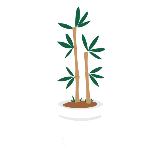 竹子卡通图片大全