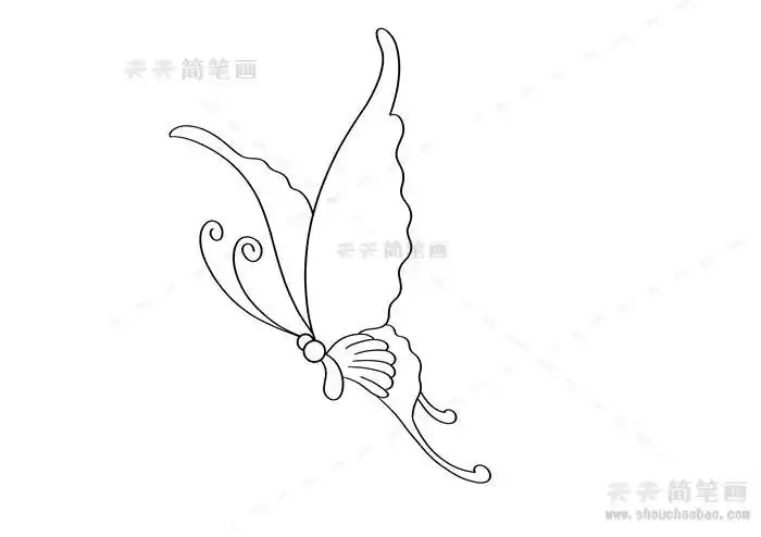 在飞左侧面蝴蝶简笔画
