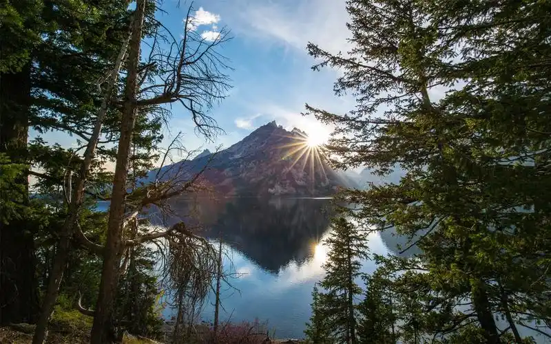 森林山间升起太阳风景桌面壁纸