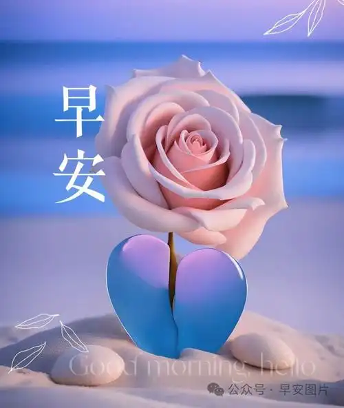 今日最新早安动态图片早安温馨祝福图片