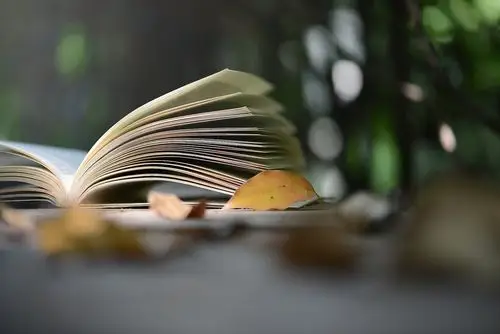 母亲是一本读不尽的书,想陪您一起读下去凤凰网青岛_凤凰网