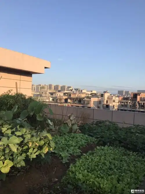 四层板顶楼装修怎么装,大家都晒晒图片!